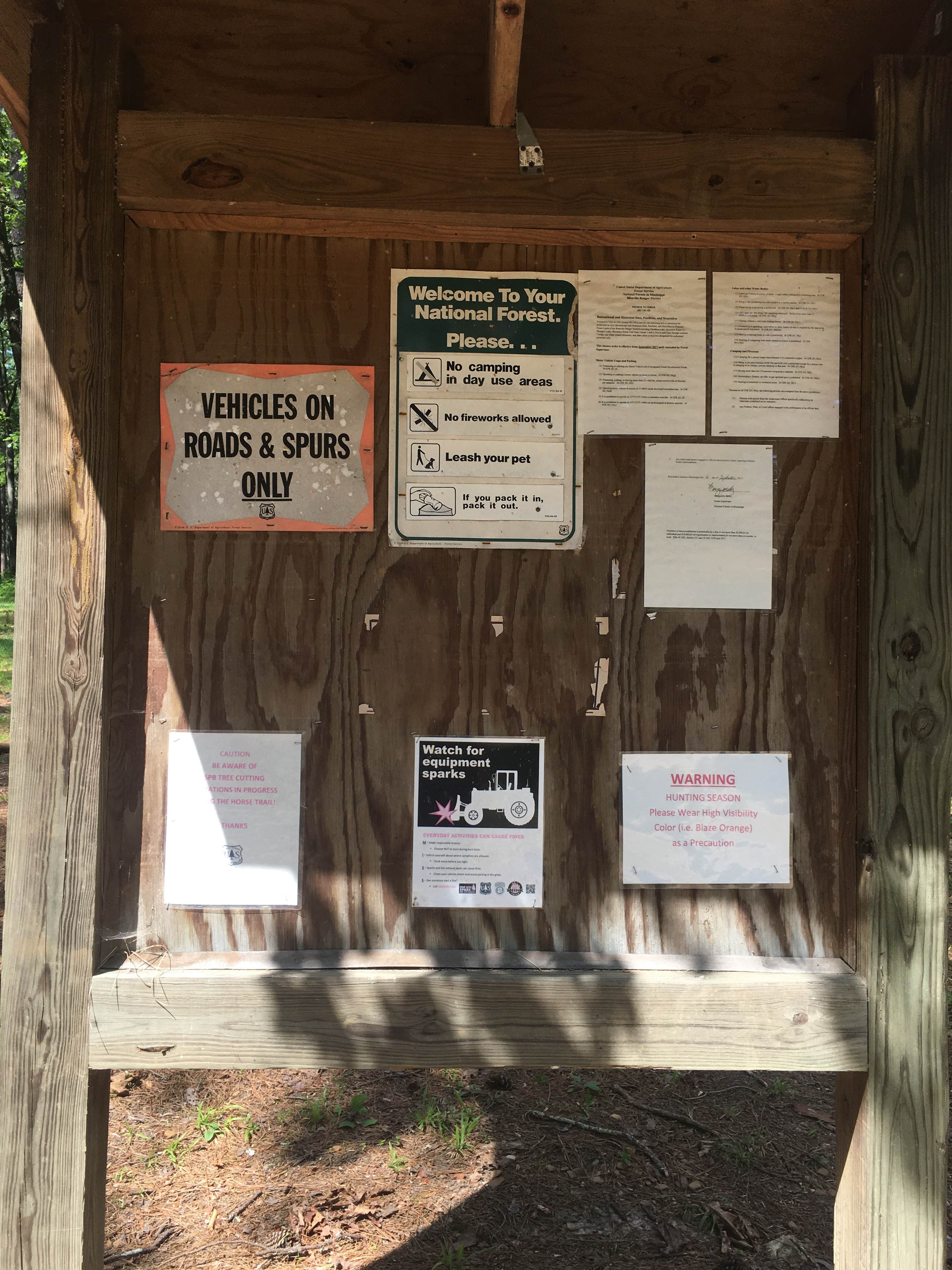 Camping near Golden Memorial State Park - CAMP PERMANENTLY CLOSED — Golden Memorial State Park: Bienville National Forest Shockaloe Base Camp 1, Forest, Mississippi