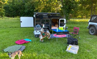 Whitney L.'s photo at Atlanta Conservation Area near Laclede, MO