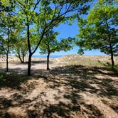 Review photo of Nordhouse Dunes Wilderness - Green Road by Jeff D., June 5, 2022