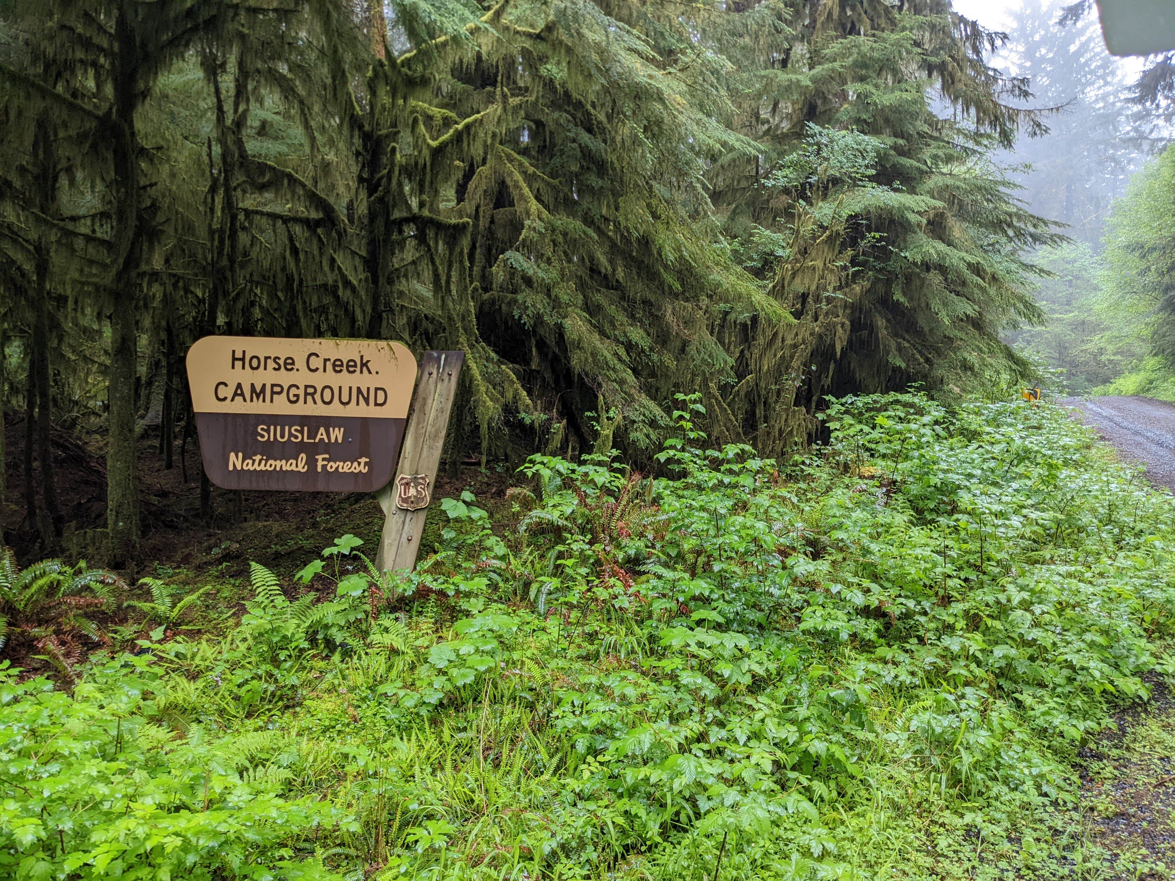 Camper-submitted photo at Horse Creek Campground — Siuslaw National Forest near Fern Ridge Lake