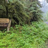 Review photo of Horse Creek Campground — Siuslaw National Forest by Laura M., June 5, 2022