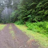 Review photo of Horse Creek Campground — Siuslaw National Forest by Laura M., June 5, 2022