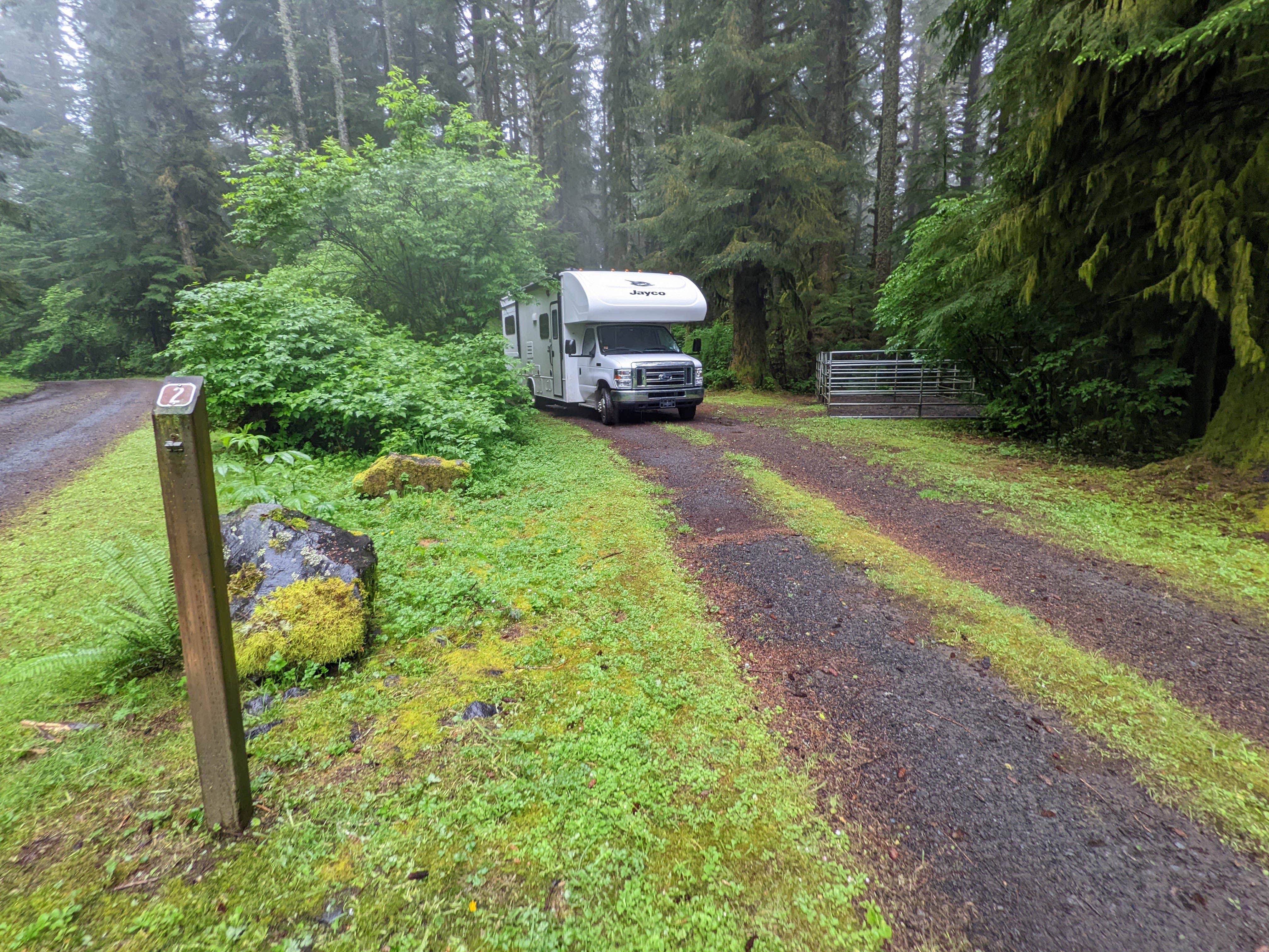 Camper-submitted photo at Horse Creek Campground — Siuslaw National Forest near Fern Ridge Lake