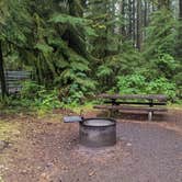 Review photo of Horse Creek Campground — Siuslaw National Forest by Laura M., June 5, 2022