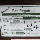 Review photo of Horse Creek Campground — Siuslaw National Forest by Laura M., June 5, 2022