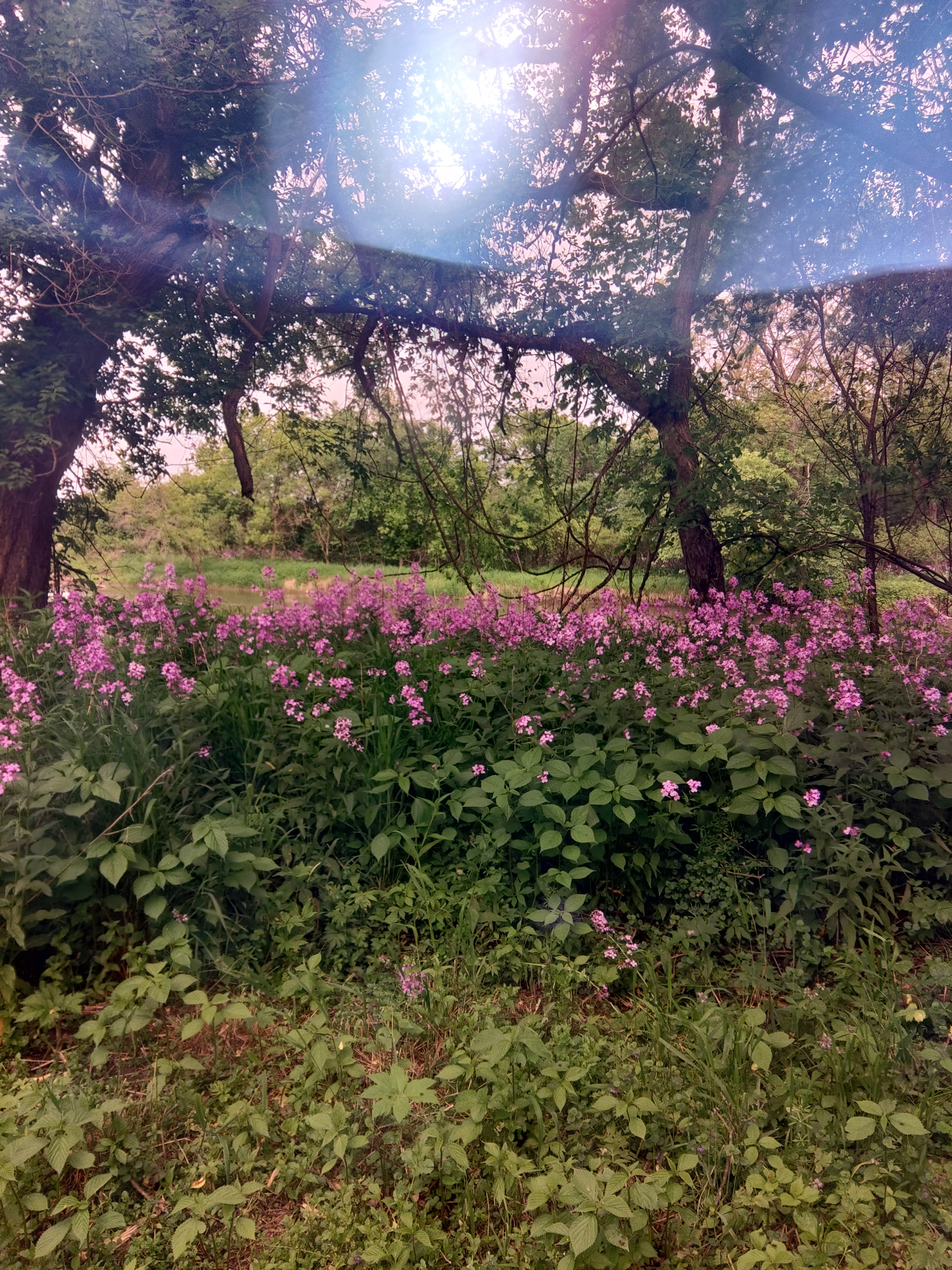 Camper-submitted photo at Pietrek County Park near Elmwood, WI