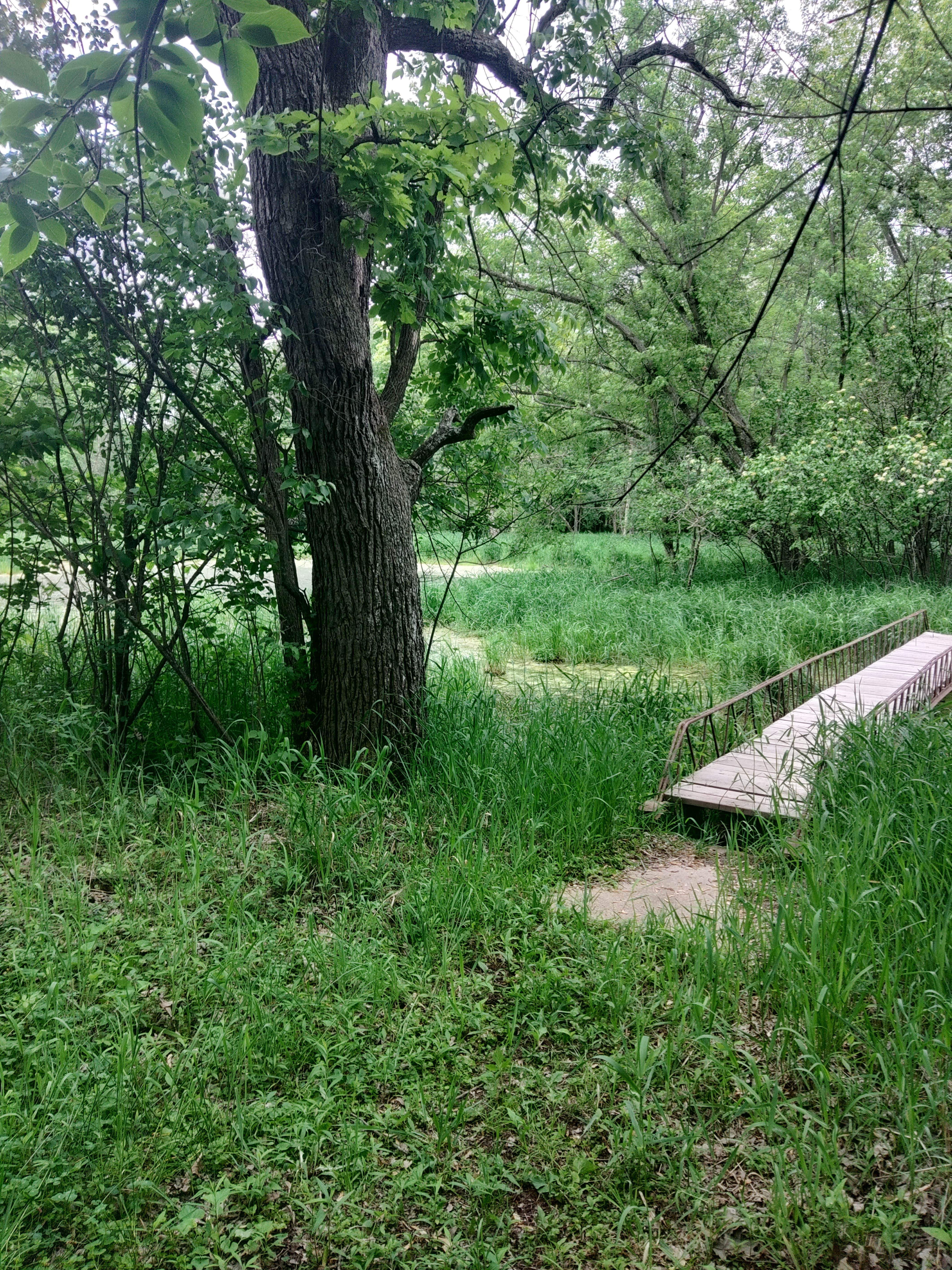 Camper-submitted photo at Pietrek County Park near Elmwood, WI