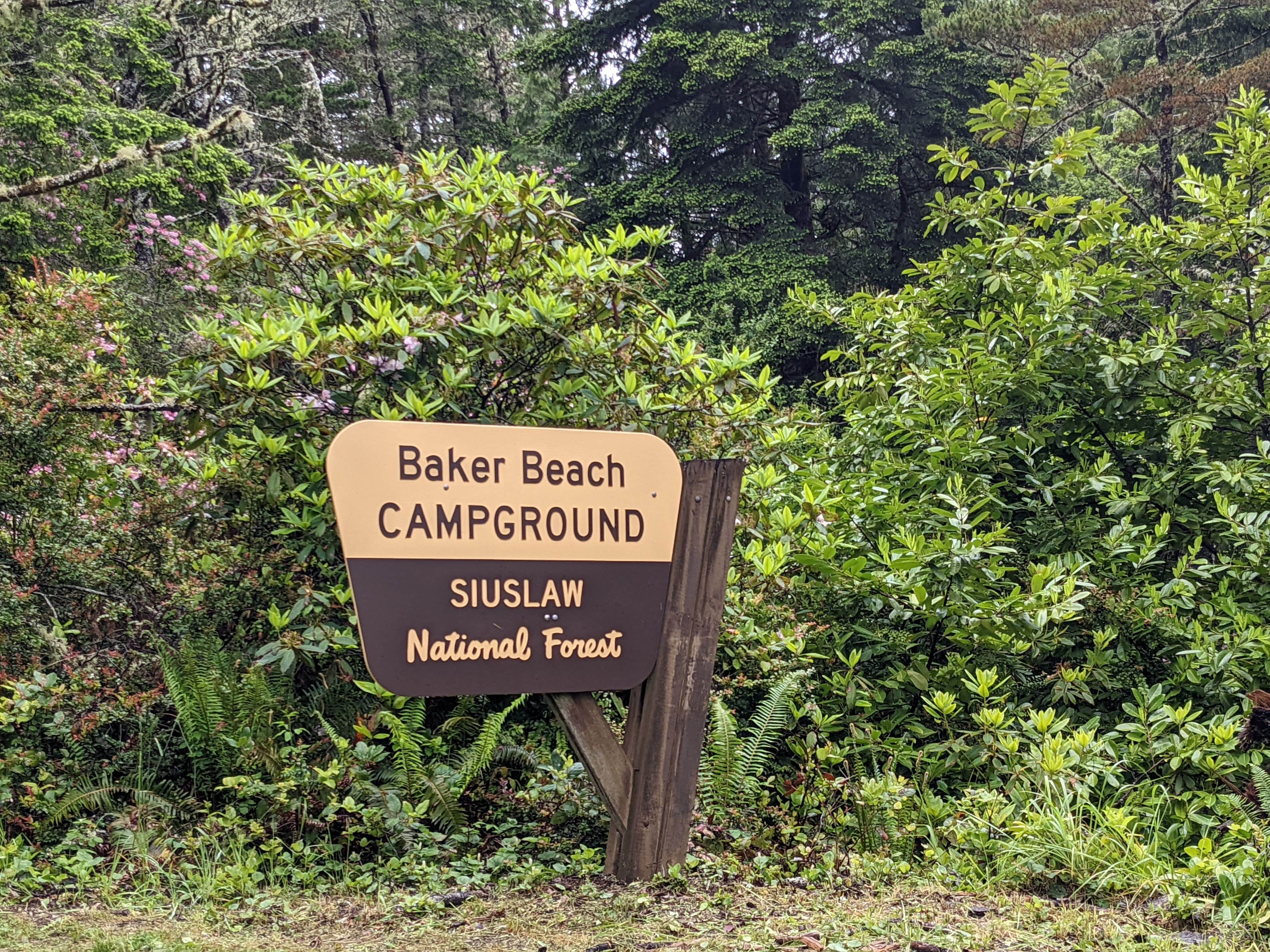 Camper-submitted photo at Baker Beach Campground near Fern Ridge Lake