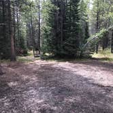 Review photo of Colter Bay Tent Village at Colter Bay Village — Grand Teton National Park by David R., June 5, 2022