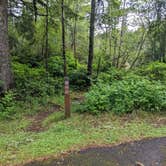 Review photo of Alder Dune Campground by Laura M., June 5, 2022