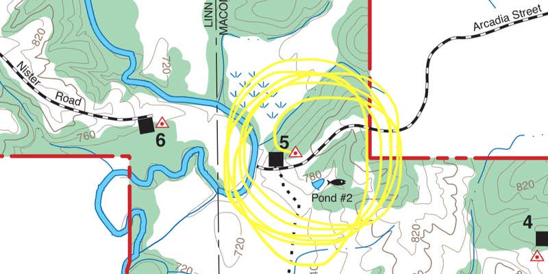 Camper submitted image from Mussel Fork Conservation Area