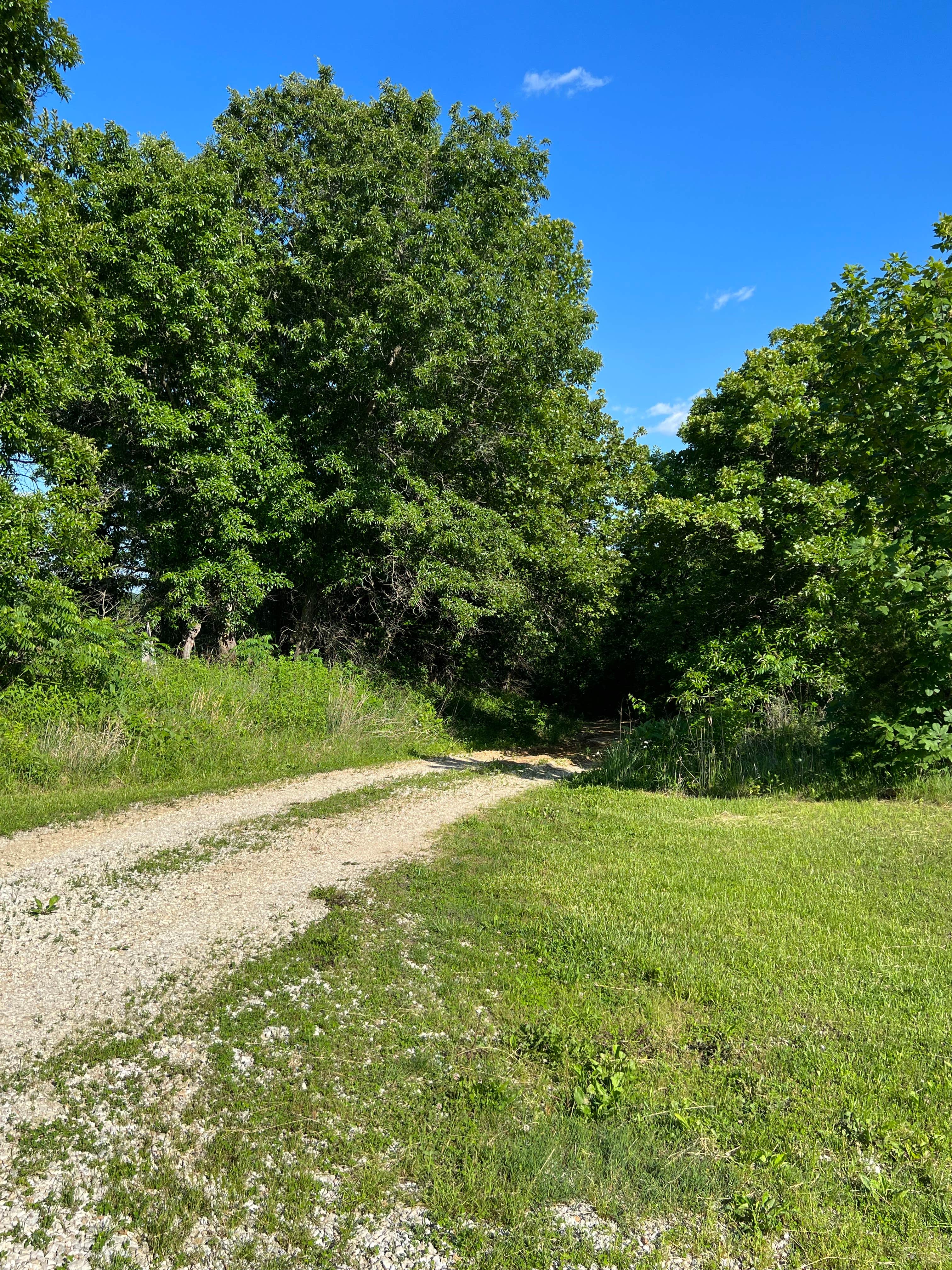 Camper submitted image from Mussel Fork Conservation Area - 3