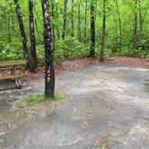 Review photo of Atsion Family Camp — Wharton State Forest by Rachel P., June 5, 2022