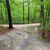 Review photo of Atsion Family Camp — Wharton State Forest by Rachel P., June 5, 2022