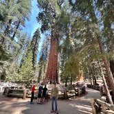 Review photo of Upper Stony Creek Campground — Sequoia National Forest by Jose M., June 6, 2022