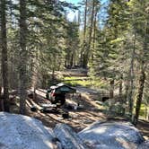 Review photo of Upper Stony Creek Campground — Sequoia National Forest by Jose M., June 6, 2022