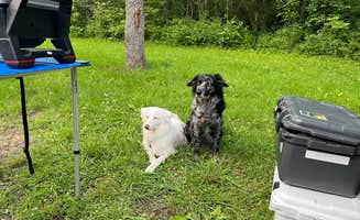 Whitney L.'s photo of camping with pets at Bluffwoods Conservation Area near Tonganoxie, KS