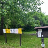 Review photo of Bluffwoods Conservation Area  by Whitney L., June 6, 2022