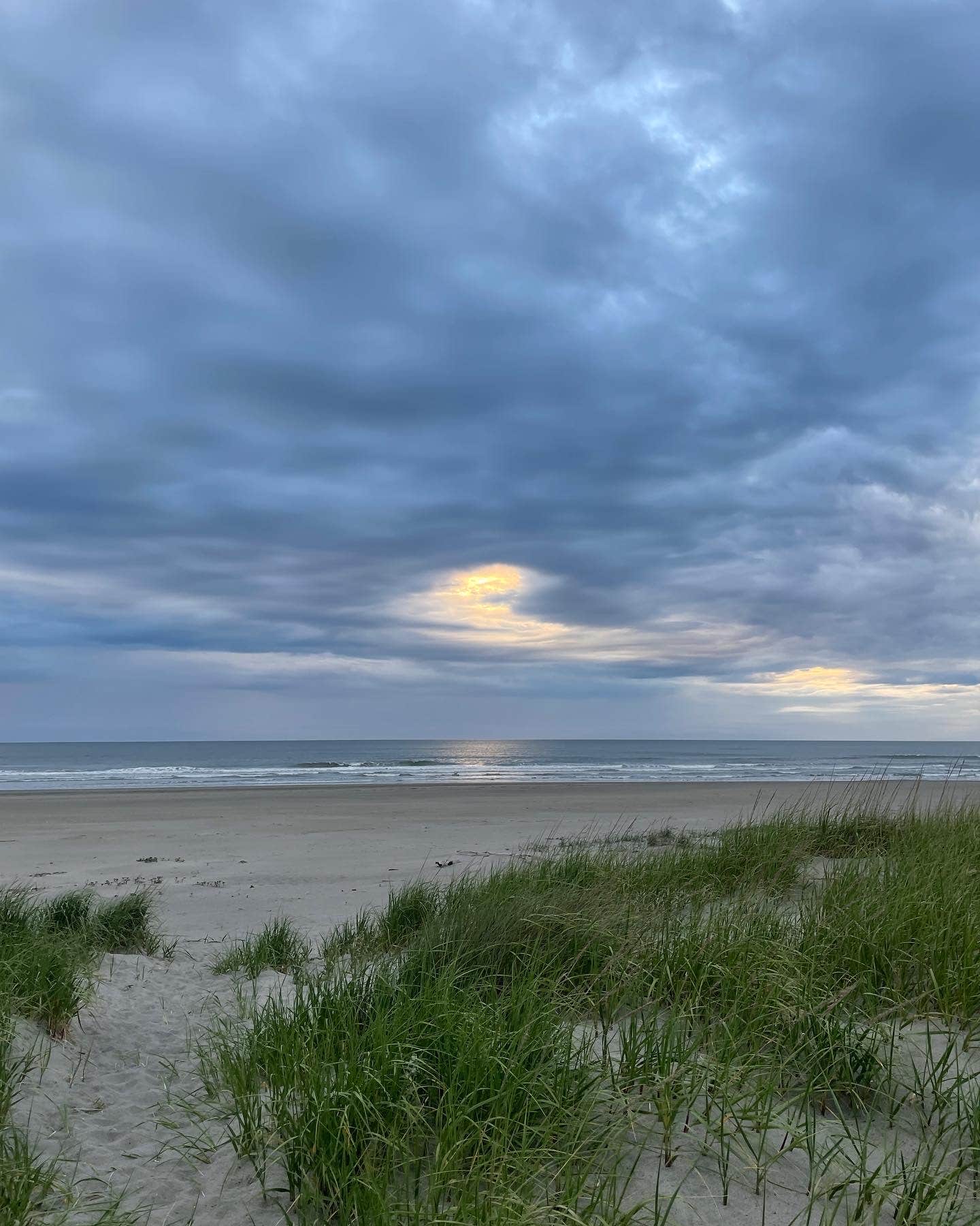 Camper-submitted photo at Pacific Holiday RV Resort near Long Beach, WA