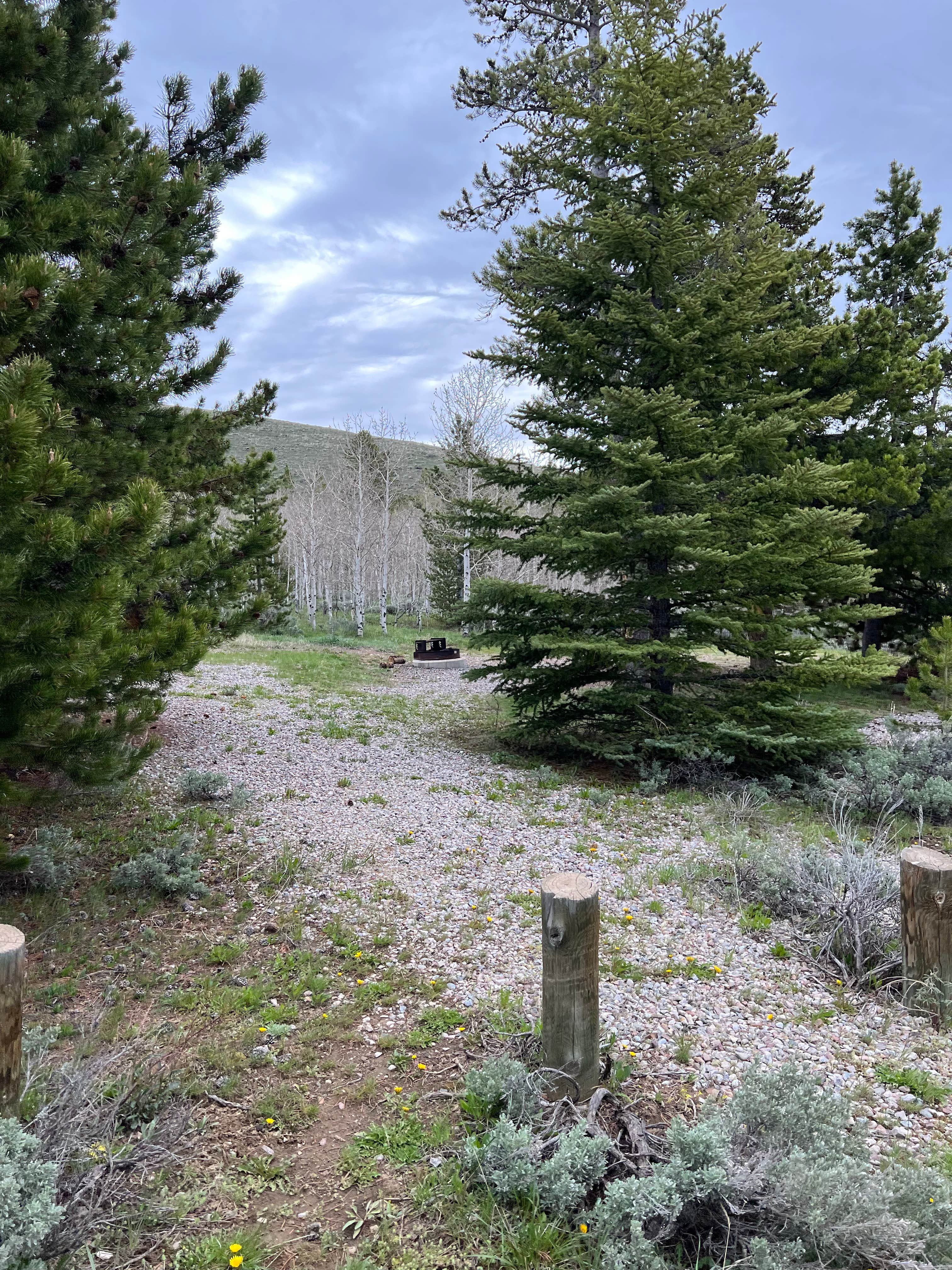 Camping near Louis Lake Campground: Big Atlantic Gulch Campground — Bureau Of Land Management, Lander, Wyoming