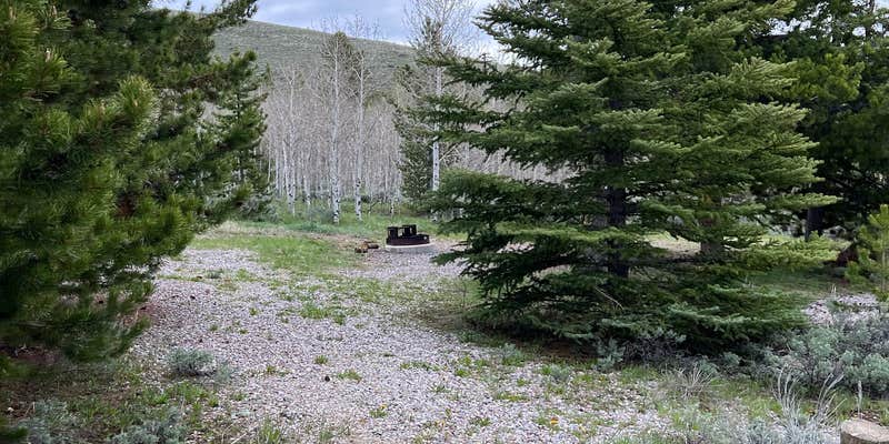 Camper submitted image from Big Atlantic Gulch Campground — Bureau Of Land Management