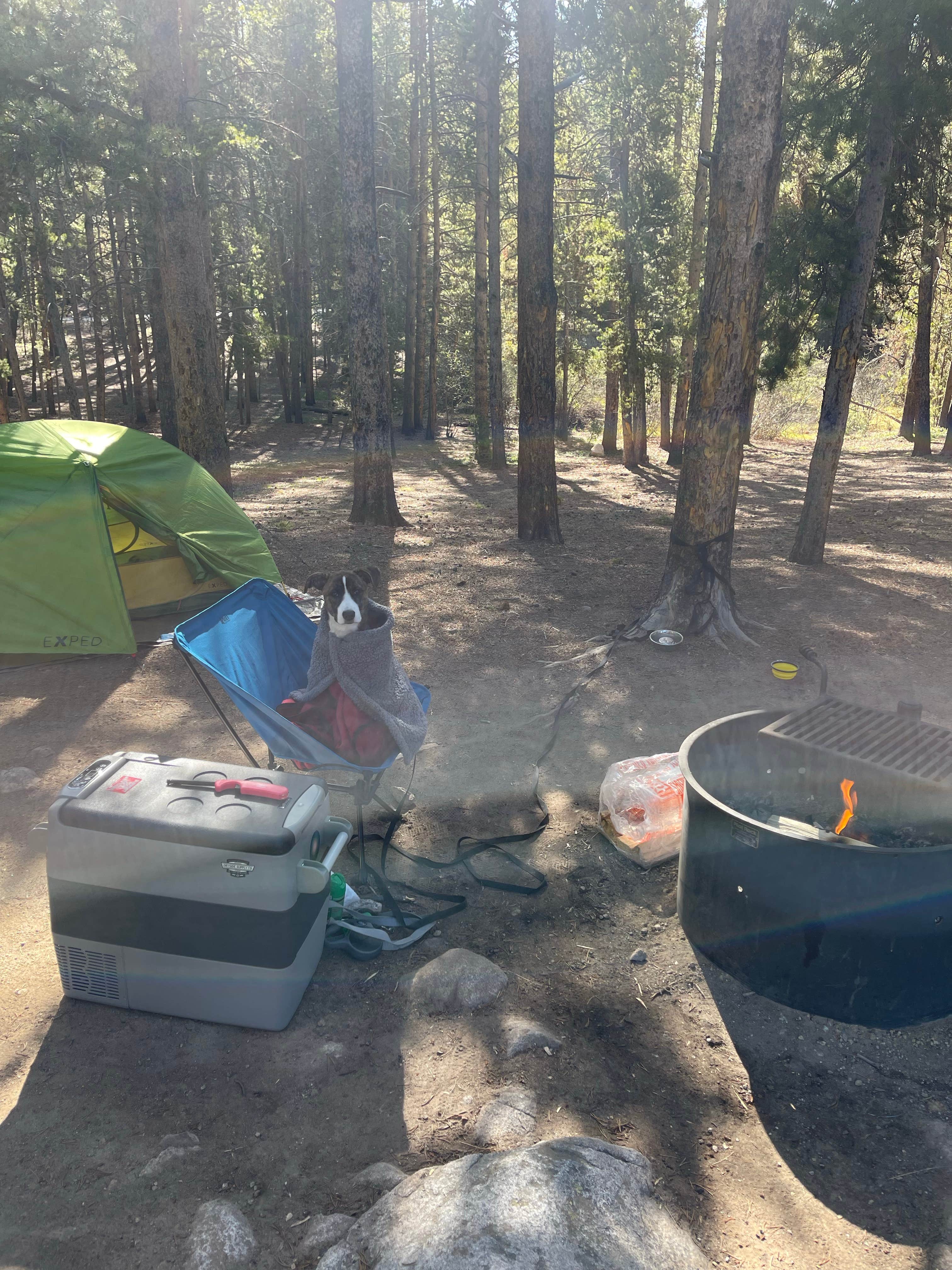 Greg's photo at Tabor Campground near Leadville, CO
