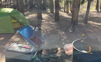 Greg's photo at Tabor Campground near Climax, CO