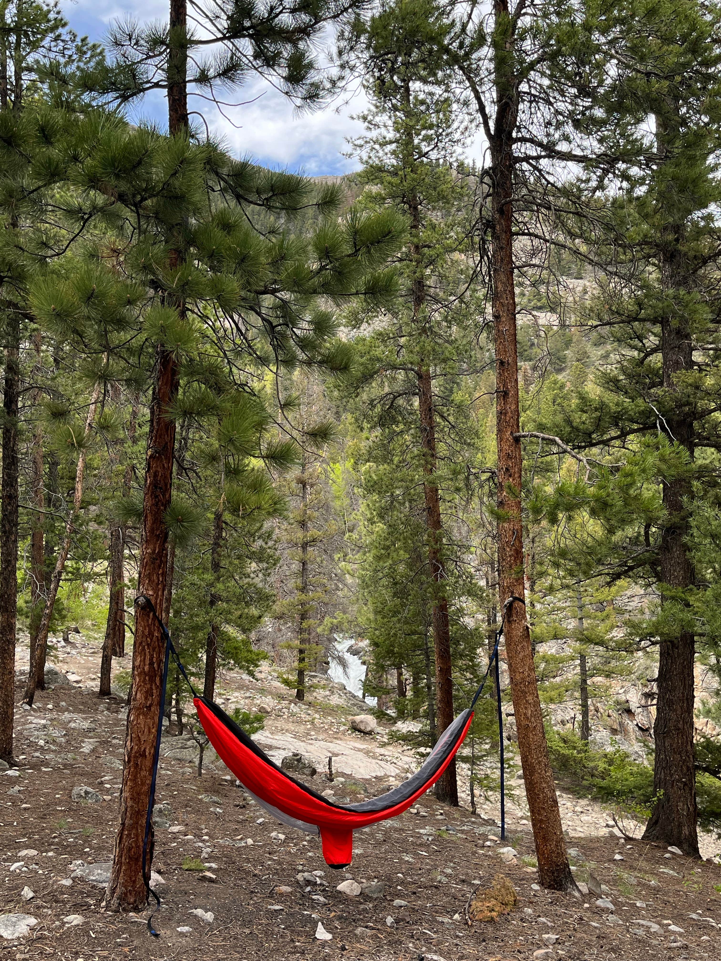 Camper submitted image from Road 240 - Dispersed - 3