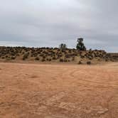 Review photo of Hurricane Cliffs BLM dispersed #39 by Christopher E., June 6, 2022