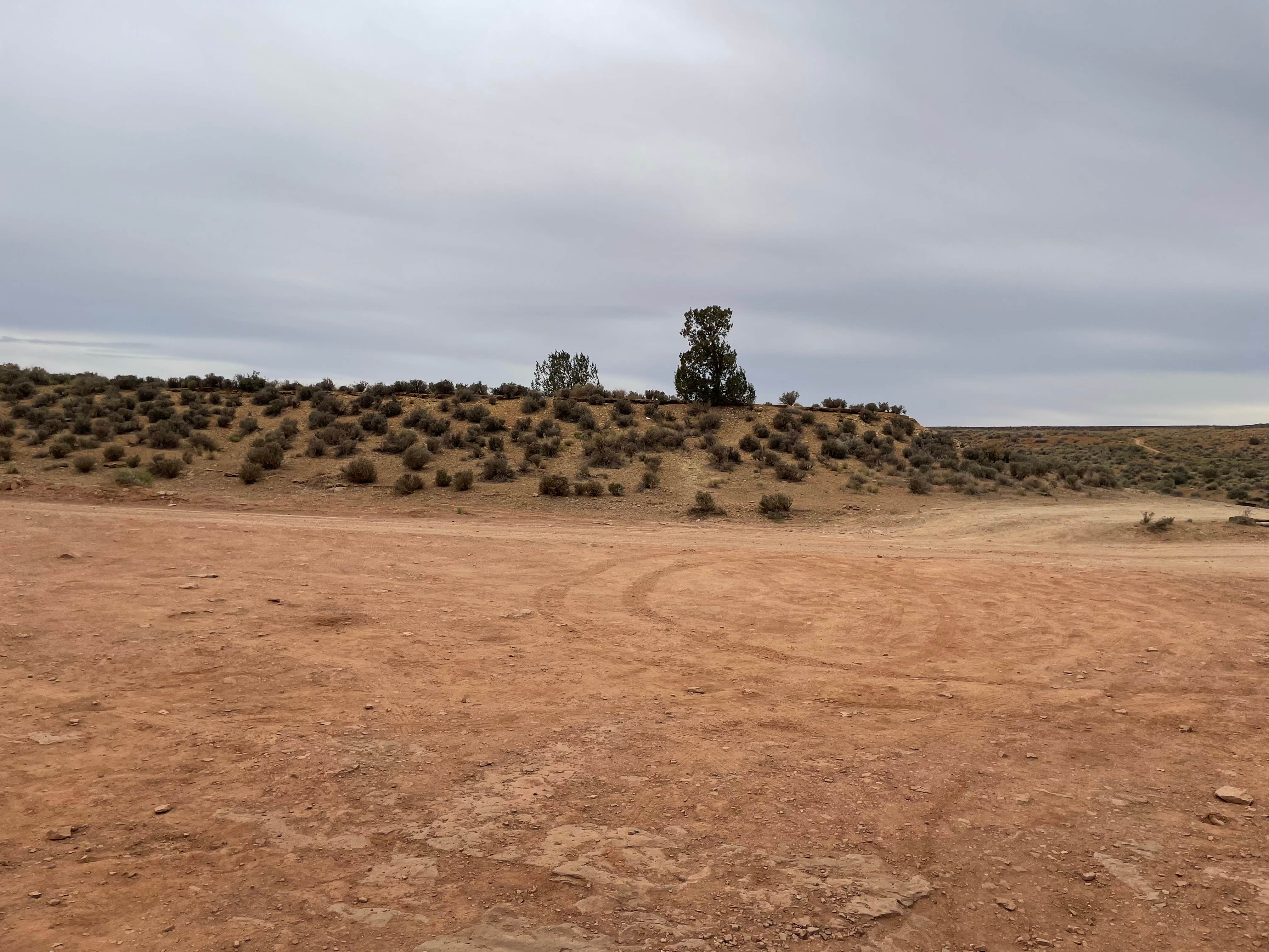 Camper submitted image from Hurricane Cliffs BLM dispersed #39 - 4