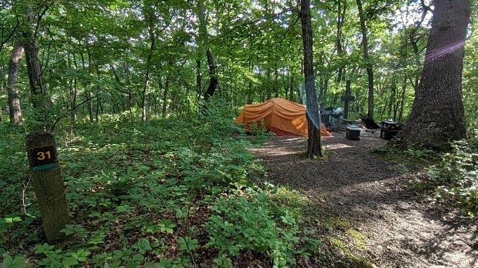 Leni K.'s photo at Wallace State Park Campground near Lathrop, MO
