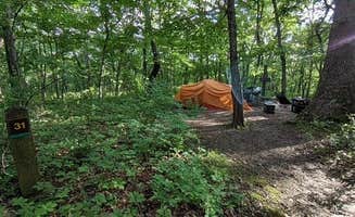 Leni K.'s photo at Wallace State Park Campground near Lathrop, MO