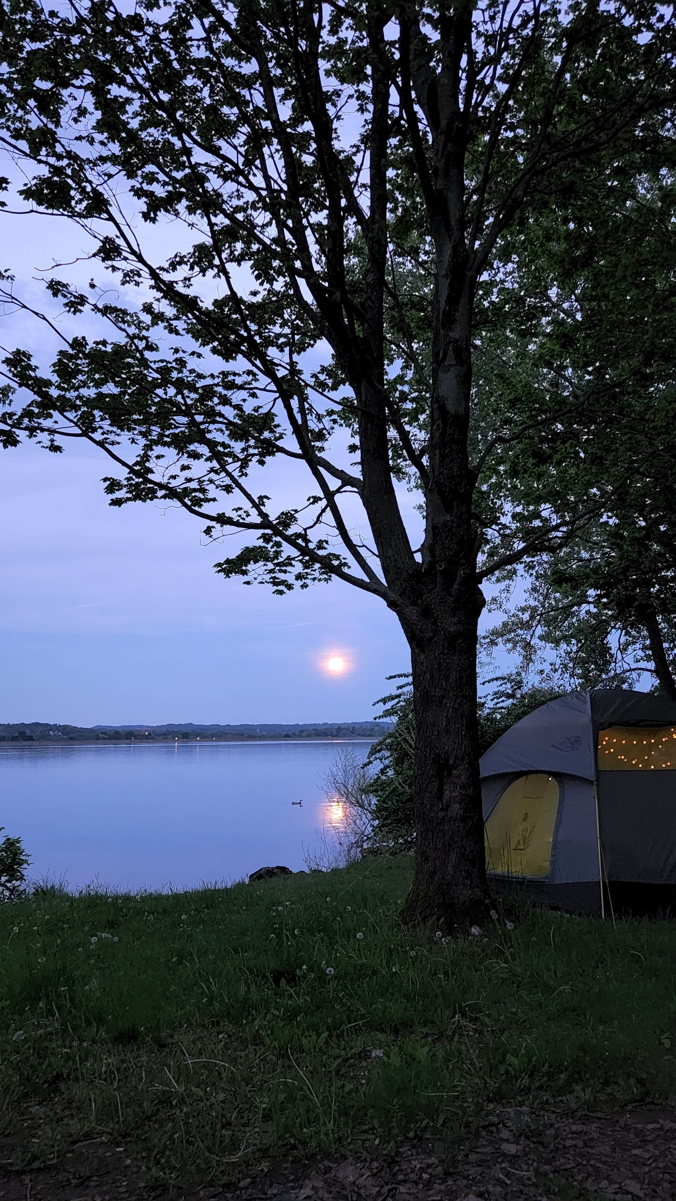 Delia Marie M.'s photo at Spruce Run Recreation Area near Tewksbury, NJ