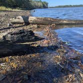 Review photo of Montrose Missouri Conservation Area Dispersed Camping by Leni K., June 6, 2022