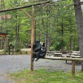 Review photo of Williamsport South-Nittany Mountain KOA by JOHN T., June 6, 2022