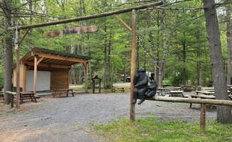 JOHN T.'s photo of a cabin at Williamsport South-Nittany Mountain KOA near Cogan Station, PA