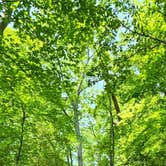 Review photo of Pocahontas State Park Campground by JOHN T., June 6, 2022