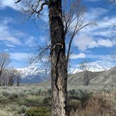 Review photo of Gros Ventre Campground — Grand Teton National Park by Fern , June 6, 2022