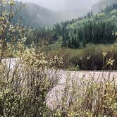 Review photo of Dispersed camping along Cliff Creek in Bridger-Teton National Forest by Fern , June 6, 2022