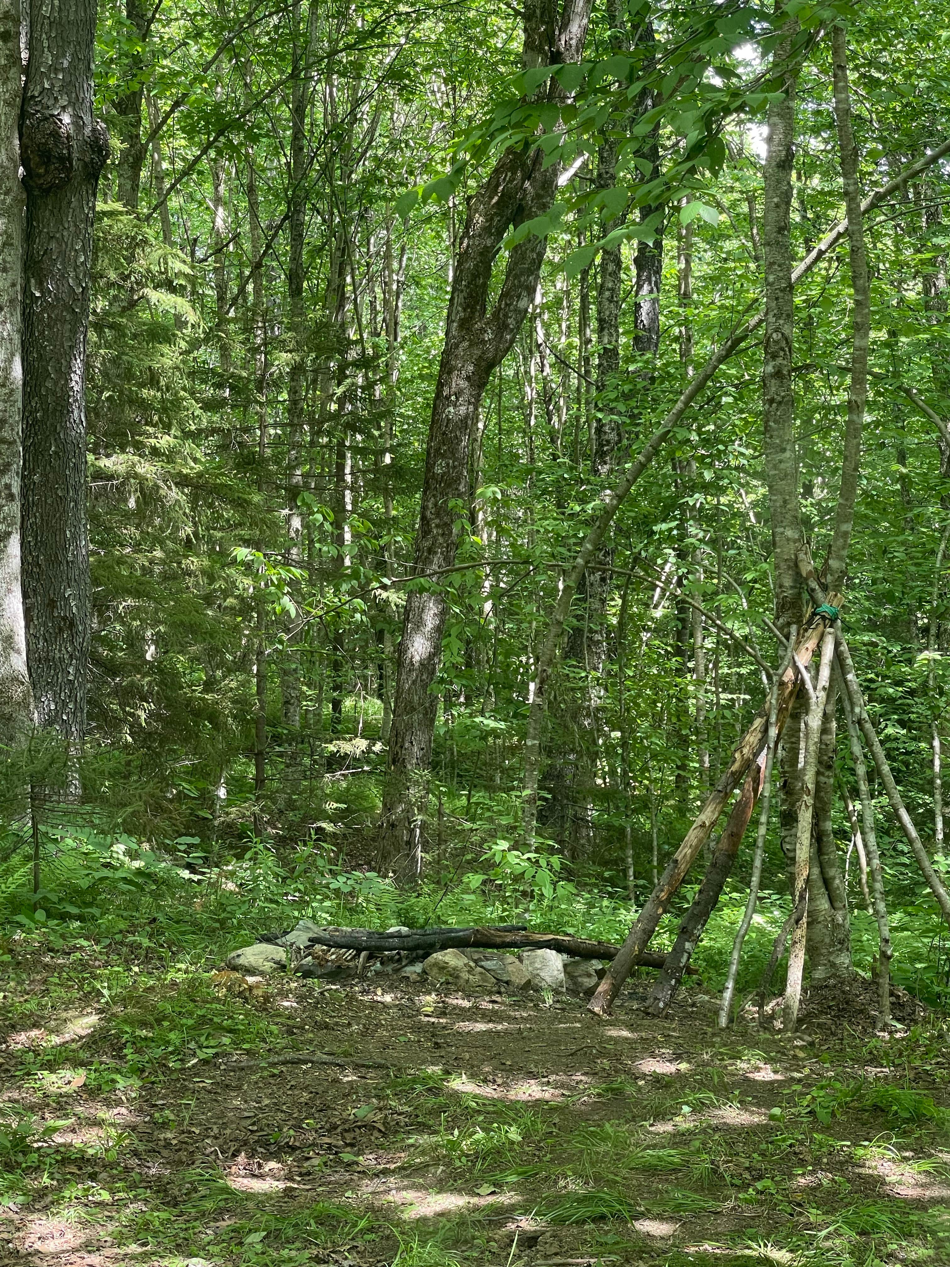 Camper-submitted photo at NFR 273 Dispersed Camping Spot near Whately, MA