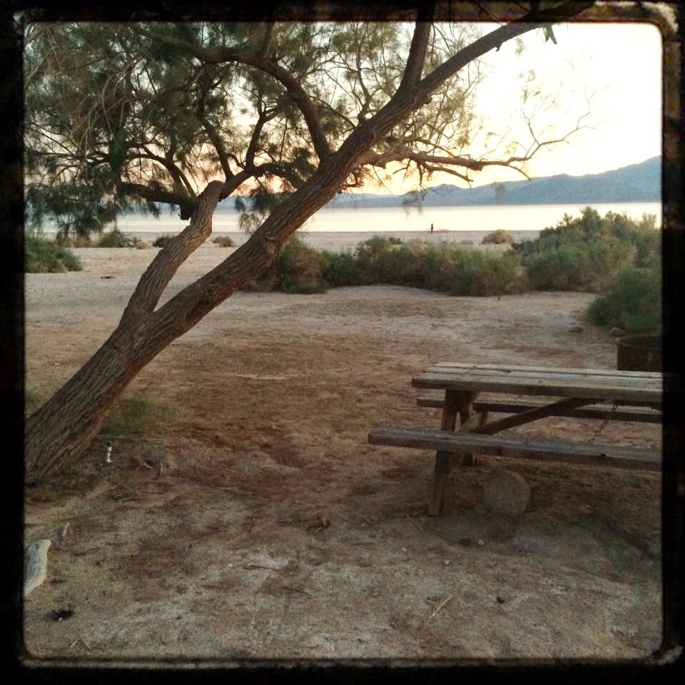 Camper submitted image from Mecca Beach Campground — Salton Sea State Recreation Area - 5