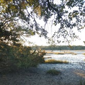 Review photo of Edisto Beach State Park Campground by carolyn N., June 6, 2022