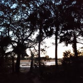 Review photo of Edisto Beach State Park Campground by carolyn N., June 6, 2022