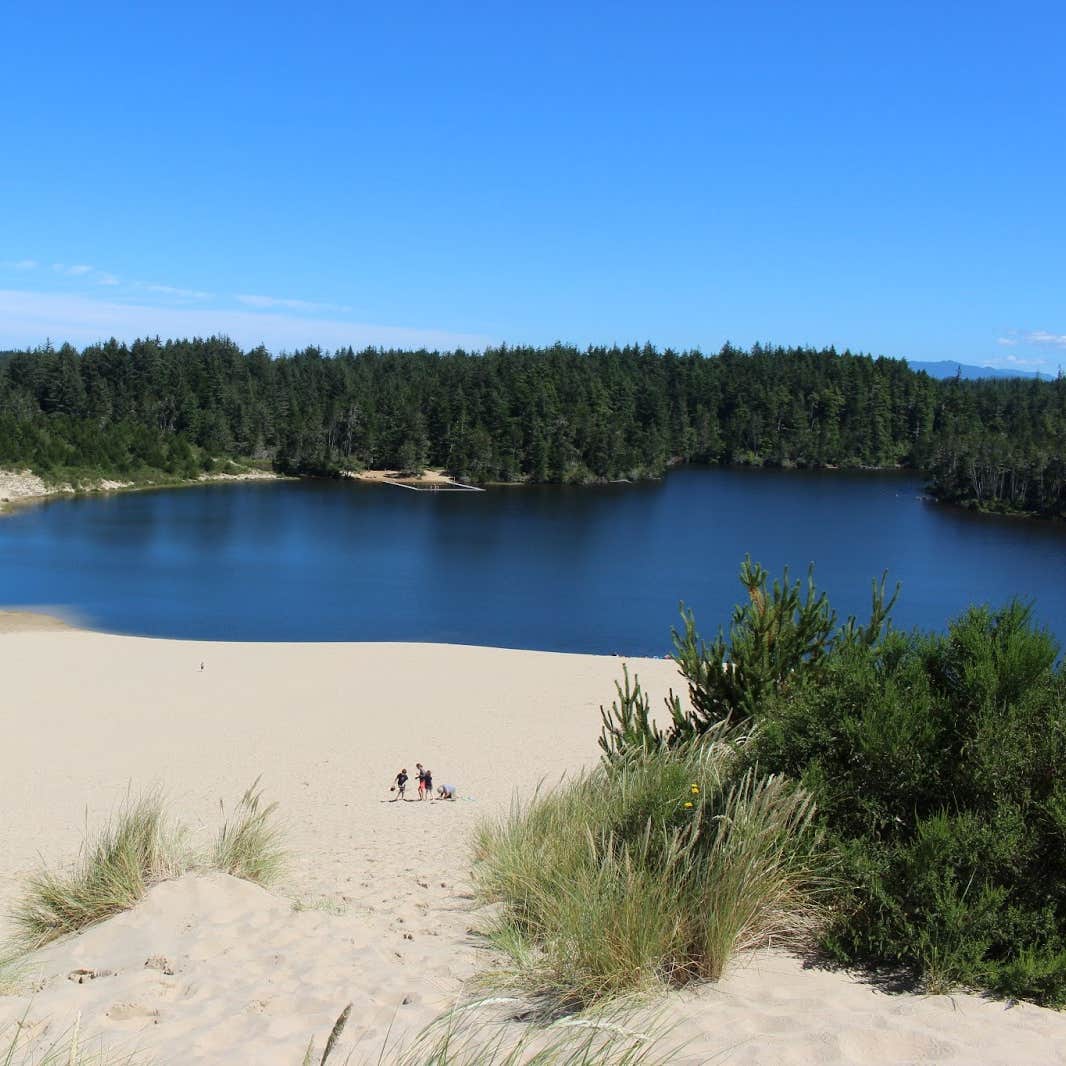 Jessie M. Honeyman Memorial State Park Camping The Dyrt