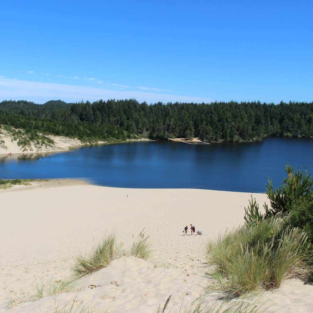 Jessie M. Honeyman Memorial State Park Camping  The Dyrt