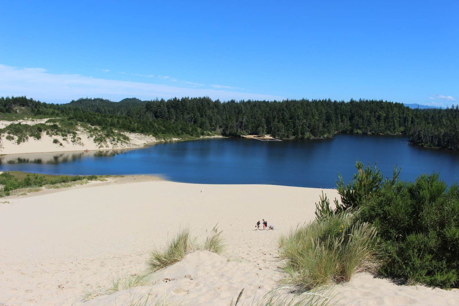 Camper submitted image from Jessie M. Honeyman Memorial State Park Campground - 2