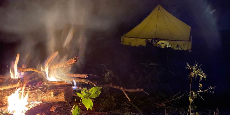 Camper submitted image from The P’Ark WV Garden