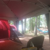 Review photo of Campbell Cove Camping by Natalee M., June 6, 2022