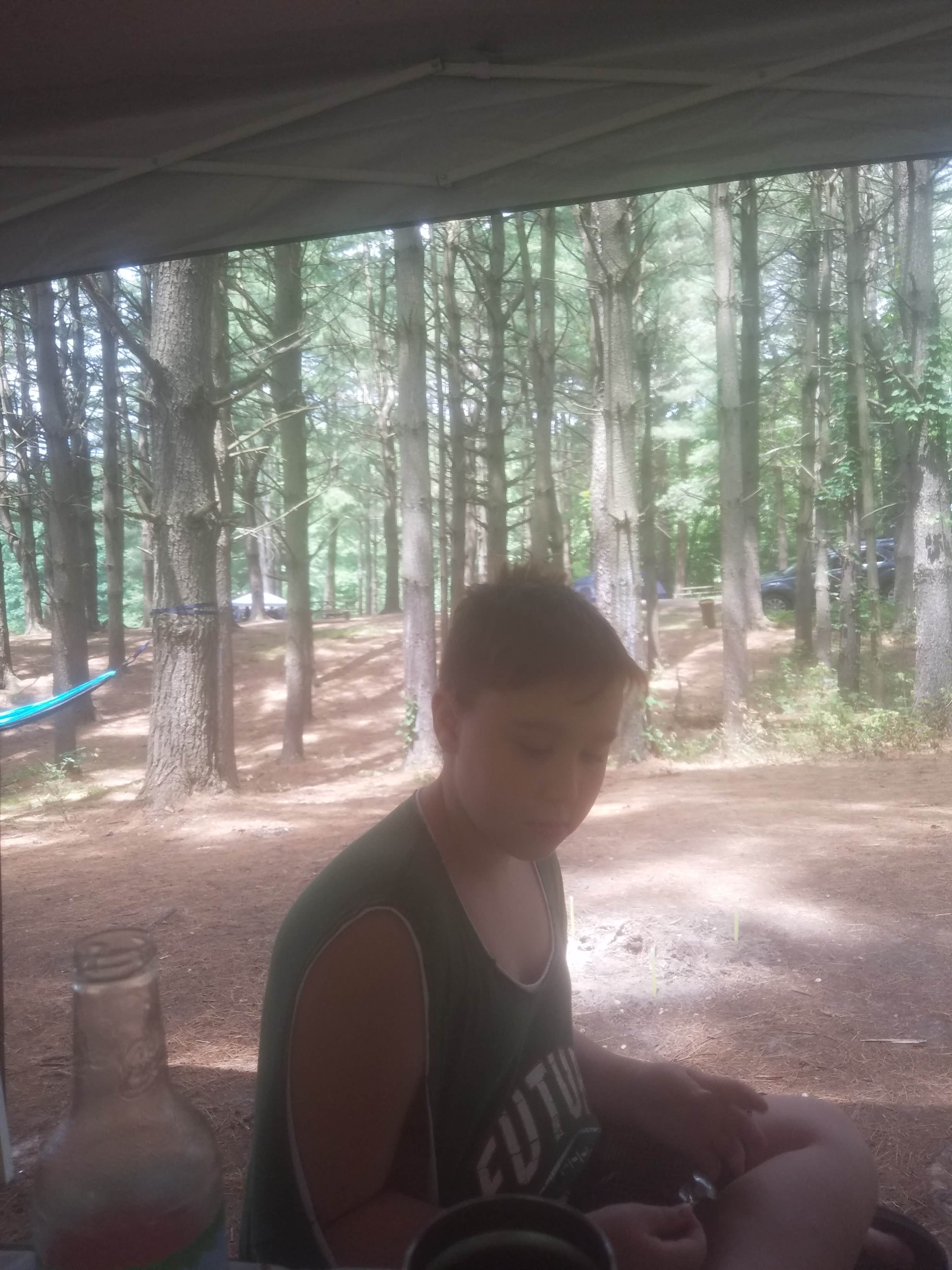 Camper submitted image from Campbell Cove Camping - 4