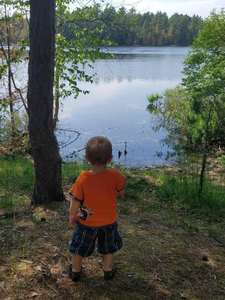 Camper submitted image from Tom's Lake Cabin - 5